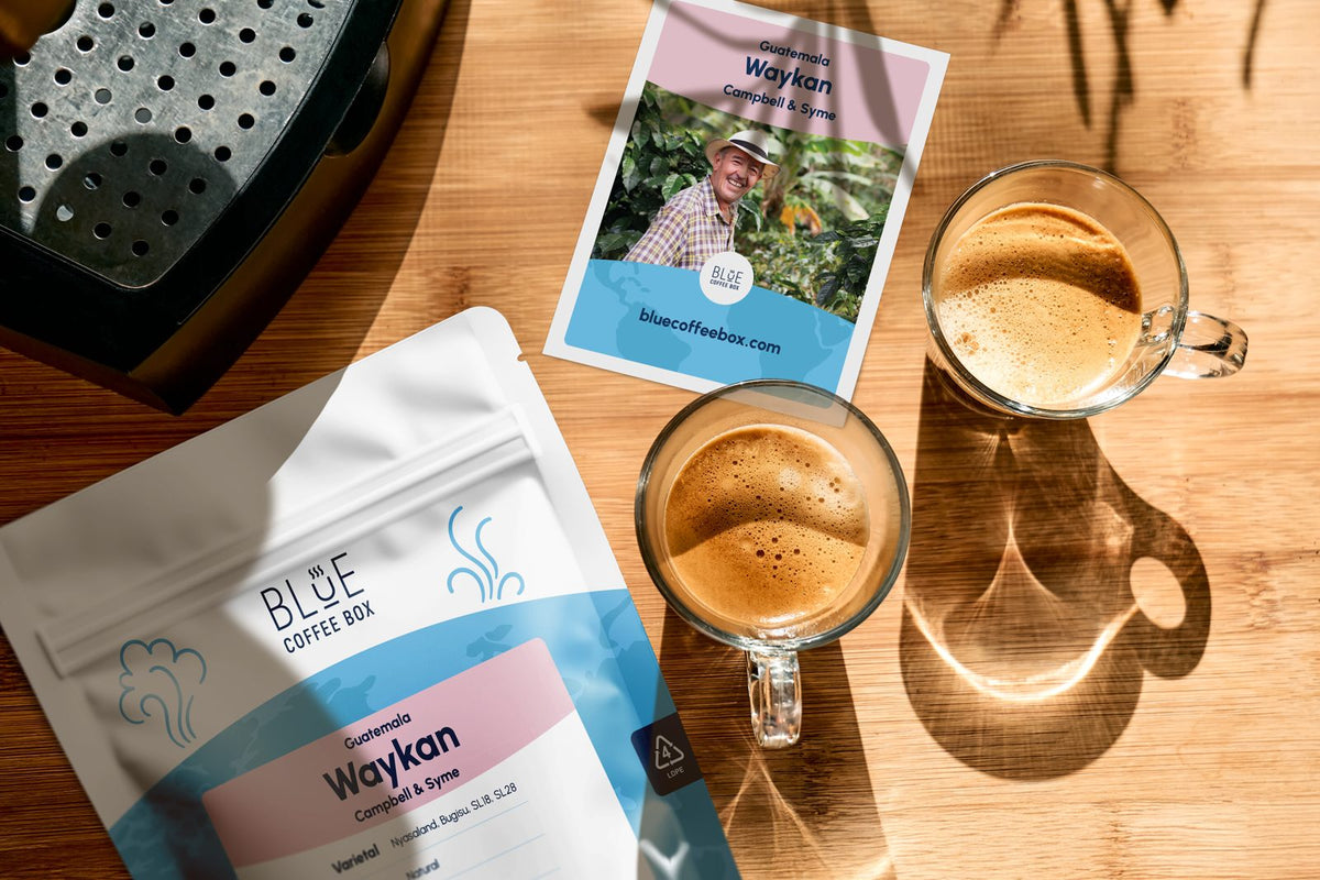 A bag of Blue Coffee Box coffee from Guatemala, its tasting notes card showing the farmer, and two glasses of coffee