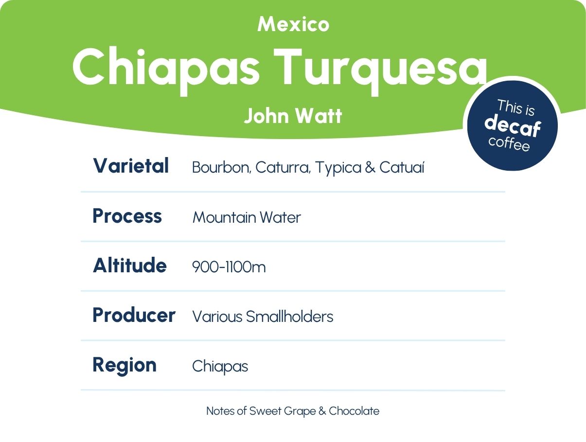Chiapas Turquesa Mexico