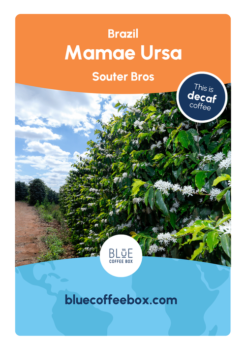 Mamae Ursa - Brazil - Decaf