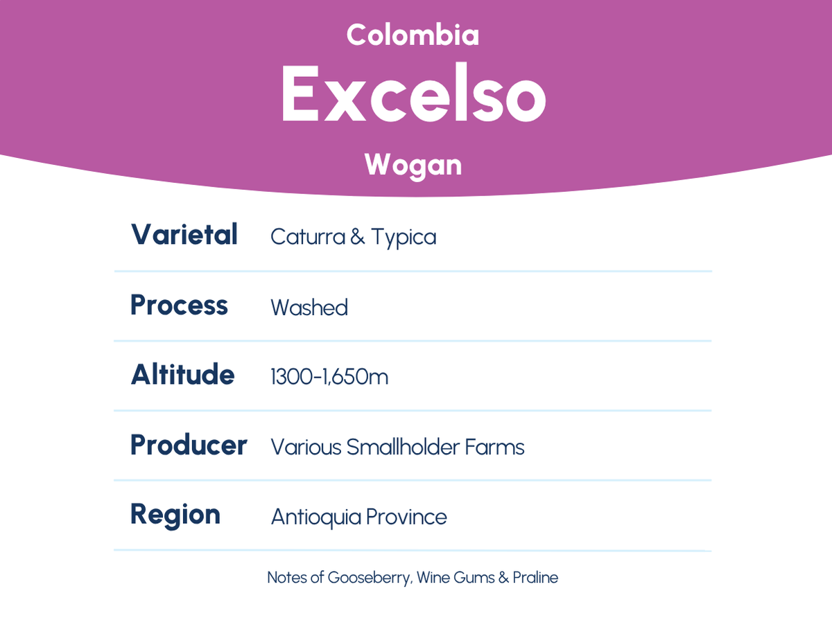 Excelso - Colombia