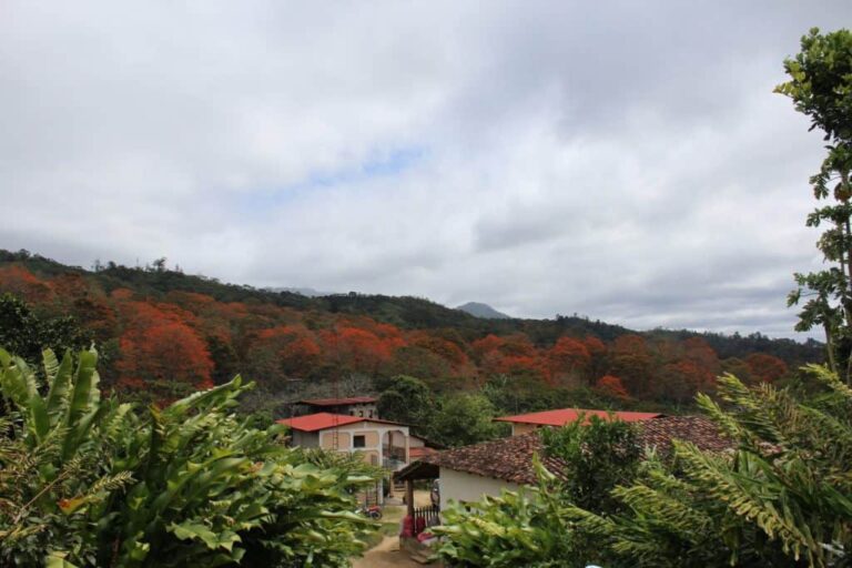 A coffee-growing village among green hills in northern Nicaragua