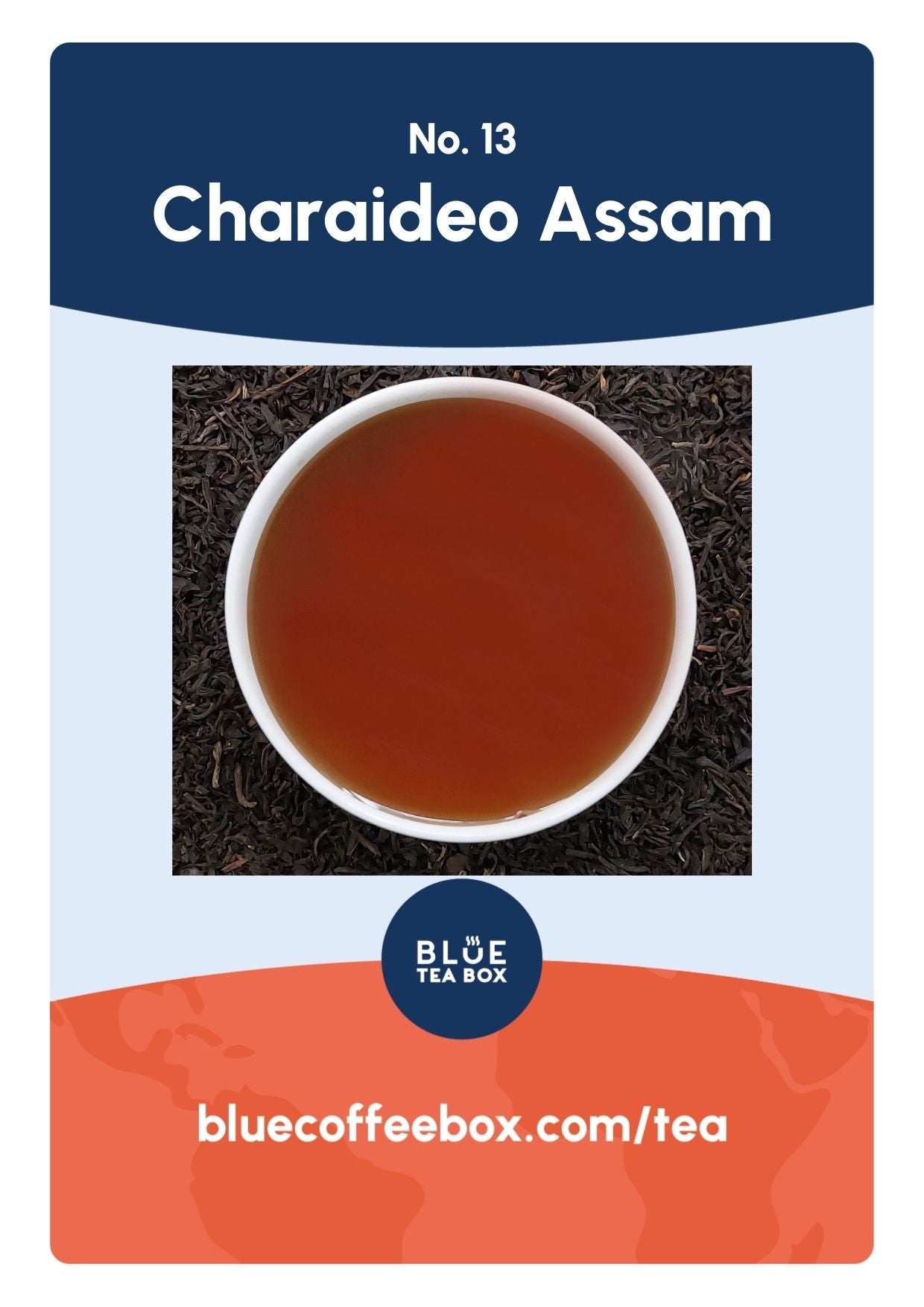Charaideo Assam No. 13