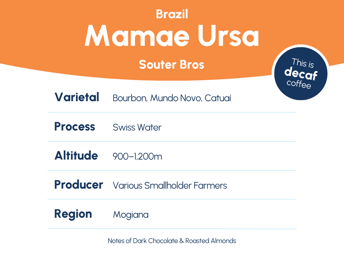 Mamae Ursa - Brazil - Decaf